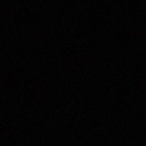 Meet your Posher, Trisha